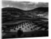 Guatemala Landscape, 1968 by Anonymous