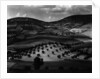 Guatemala Landscape, 1968 by Anonymous
