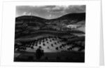 Guatemala Landscape, 1968 by Anonymous
