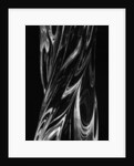 Swirling Glasswork by Brett Weston