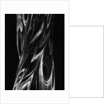 Swirling Glasswork by Brett Weston