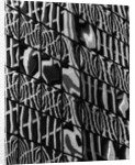 Window Reflections by Anonymous