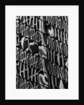Window Reflections by Anonymous