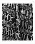 Window Reflections by Anonymous