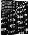 Window Reflections by Brett Weston