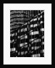 Window Reflections by Brett Weston