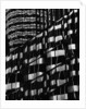 Window Reflections by Brett Weston