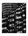 Window Reflections by Brett Weston