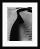 Dune, Oceano by Brett Weston