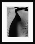 Dune, Oceano by Brett Weston