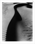 Dune, Oceano by Brett Weston