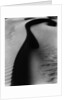 Dune, Oceano by Brett Weston