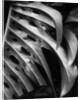Leaf Composition by Anonymous