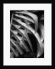 Leaf Composition by Anonymous