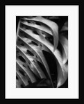 Leaf Composition by Anonymous