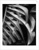Leaf Composition by Anonymous