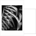 Leaf Composition by Anonymous
