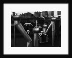 Nancy Newhall's Rooftop, New York City by Brett Weston