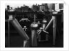 Nancy Newhall's Rooftop, New York City by Brett Weston