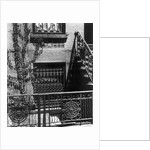 Brownstone Windows, Manhattan, 1944 by Anonymous