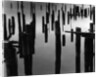 Piles in Fog, 1968 by Anonymous