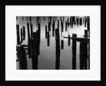 Piles in Fog, 1968 by Anonymous