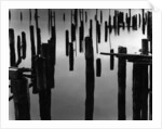 Piles in Fog, 1968 by Anonymous