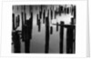 Piles in Fog, 1968 by Anonymous