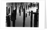 Piles in Fog, 1968 by Anonymous