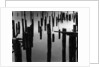 Piles in Fog, 1968 by Anonymous