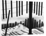 Fence in Snow, 1972 by Anonymous