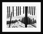 Fence in Snow, 1972 by Anonymous
