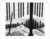 Fence in Snow, 1972 by Anonymous
