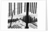 Fence in Snow, 1972 by Anonymous