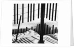 Fence in Snow, 1972 by Anonymous