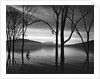Lake Patzcuaro, Mexico 1976 by Anonymous