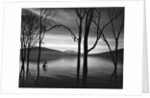 Lake Patzcuaro, Mexico 1976 by Anonymous