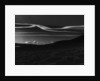 Desert Prairie, 1981 by Anonymous