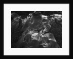 Beach Rock Formations by Anonymous