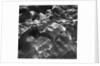 Beach Rock Formations by Anonymous