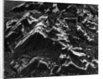 Wet Beach Rock Formations by Anonymous