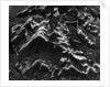 Wet Beach Rock Formations by Anonymous