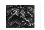 Wet Beach Rock Formations by Anonymous