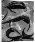 Tide Pool by Brett Weston