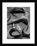 Tide Pool by Brett Weston