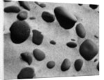Rocks and Sand by Anonymous