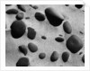 Rocks and Sand by Anonymous