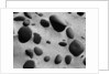 Rocks and Sand by Anonymous