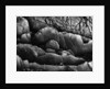 Beach Rocks by Brett Weston
