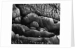 Beach Rocks by Brett Weston